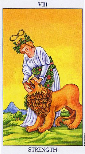 Strength as Reconciliation Tarot Card Meaning Sibyl Tarot