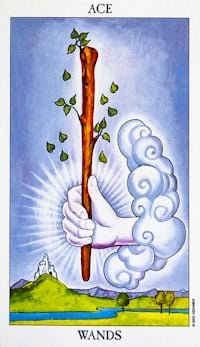 Ace of Wands as Future Tarot Card Meaning Sibyl Tarot