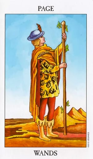 Page of Wands as Reconciliation Tarot Card Meaning Sibyl Tarot